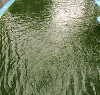 Friendly Pool Spa Care - Suburb Australia