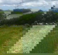 AllCoast TP Slashing - Suburb Australia