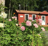 Trapper John's Cabin Cottages